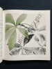 CONNAISSANCE DES TEINTURES VEGETALES. ERIC FIGUE-HENRIC