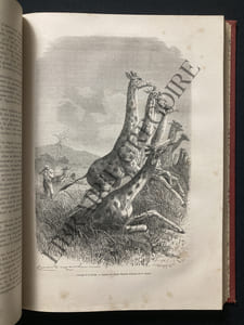 LE TOUR DU MONDE-1870-PREMIER SEMESTRE