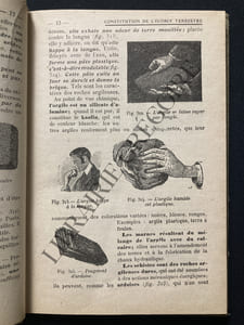 SCIENCES NATURELLES-PREMIERE ANNEE