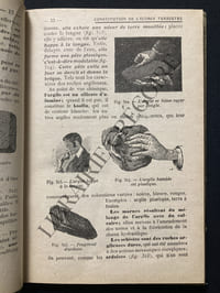 SCIENCES NATURELLES-PREMIERE ANNEE