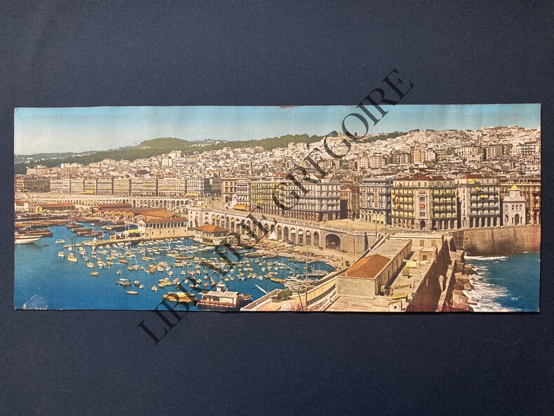 ALGER-VUE GENERALE PRISE DE L'AMIRAUTE-CHROMOLITHOGRAPHIE. 