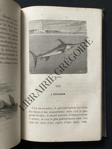 LES GRANDES PECHES