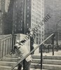 POINT DE VUE IMAGES DU MONDE-NOUVELLE SERIE-N°263-18 JUIN 1953-MARTINE CAROL	. 
