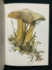 LES CHAMPIGNONS	. BEATRIX POTTER	