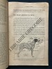 POUR LE BON ET BEAU CHIEN Anatomie Physiologie Esthétique d'utilisation	. R. BOMMIER	