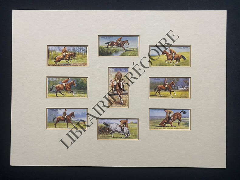 9 IMAGES-HORSEMANSHIP-PRE-ENCADREES	. 