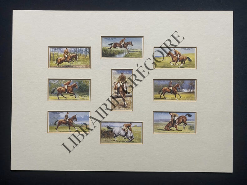 9 IMAGES-HORSEMANSHIP-PRE-ENCADREES	. 