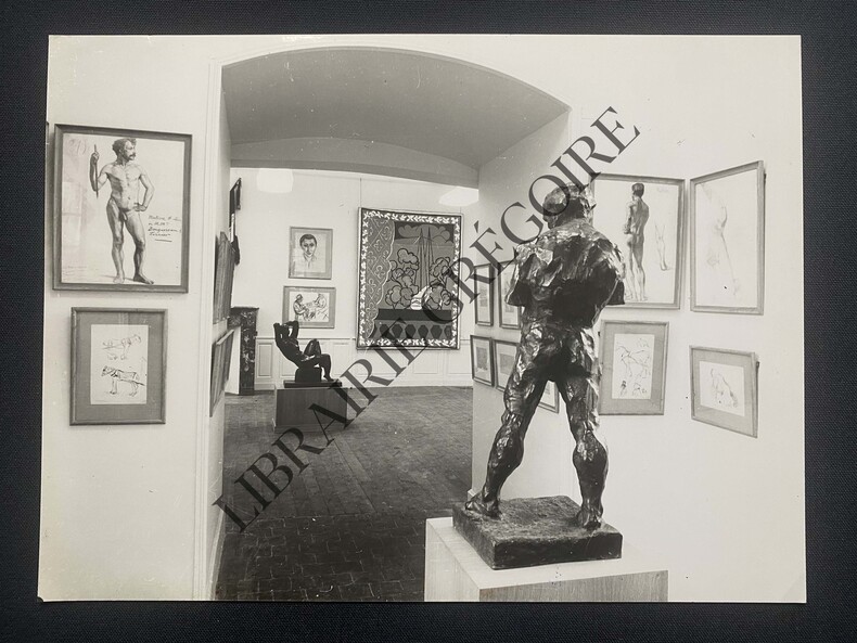 PHOTOGRAPHIE-HELENE ADANT-MUSEE MATISSE-. HELENE ADANT-MATISSE