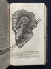 COURS ELEMENTAIRE D'HISTOIRE NATURELLE. MILNE EDWARDS-A DE JUSSIEU-F.S. BEUDANT