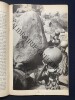 L'AUTRE JOURNAL-N&deg;6-SEMAINE DU 3 AU 8 AVRIL 1986. 