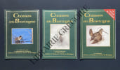 CHASSER EN BRETAGNE-10 NUMEROS. 