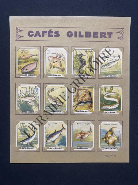 CAFES GILBERT-12 CHROMOS-SERIE 23-POISSONS. 