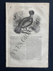 MAGASIN PITTORESQUE-AVRIL 1836-LIVRAISON 17. 