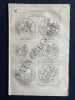 MAGASIN PITTORESQUE-MAI 1836-LIVRAISON 20. 