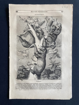 MAGASIN PITTORESQUE-OCTOBRE 1836-LIVRAISON 41. undefined