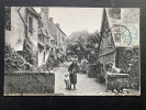 CABOURG-MAISONS ET JARDINETS DU VIEUX CABOURG-CARTE POSTALE. 