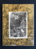 LA MORDOREE-N°139-JUILLET 1981. 