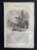 MAGASIN PITTORESQUE-JUIN 1851. 