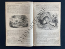 MAGASIN PITTORESQUE-AOUT 1864. 