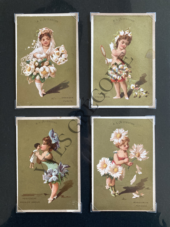 12 CHROMOS "A L'AUTRUCHE"-LANGAGE DES FLEURS. 