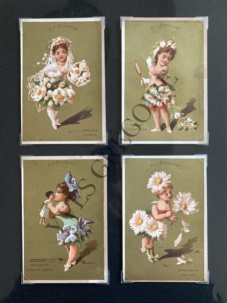 12 CHROMOS "A L'AUTRUCHE"-LANGAGE DES FLEURS. 