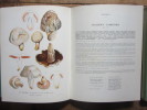 Nouvel Atlas des Champignons. Henri Romagnesi