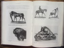 Les Bronzes animaliers (2 tomes). Jean-Charles Hachet