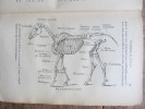 Le Cheval. Traité complet d'hippologie suivi d'un cours d'équitation pour le cavalier et la dame, d'une étude détaillée du cheval et de son entretien, ...