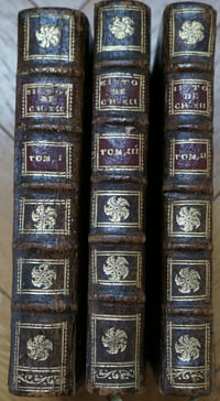 Histoire militaire de Charles XII roi de Suede, depuis l'an 1700, jusqu'à la bataille de Pultowa en 1709, 