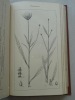 Guide pratique de botanique rurale. . CAMUS. Gustave.  