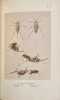 Souvenirs entomologiques. Etudes sur l'instinct et les mœurs des Insectes.  . FABRE. J.- H. 