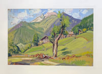 Paysage alpin.