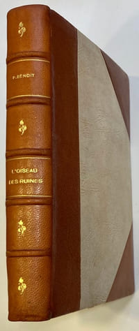 L’oiseau des ruines.