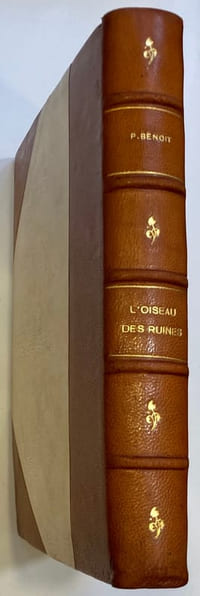 L’oiseau des ruines.