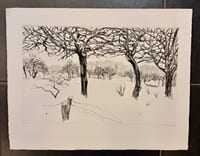 3 arbres en hiver.