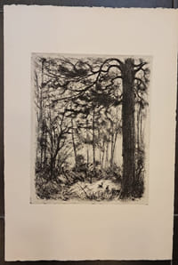 Arbres aux lapins.