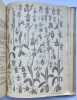 Monographie des Orchidées de l'Europe, de l'Amérique septentrionale, de l'Asie Mineure et des Provinces Russes transcaspiennes. . CAMUS. E. G. 