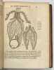 L'Homme... et la formation du foétus.... DESCARTES. René. 