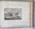 Voyage en Abyssinie, entrepris par ordre du gouvernement britannique ex&eacute;cut&eacute; dans les ann&eacute;es 1809 et 1810…. SALT. Henry.