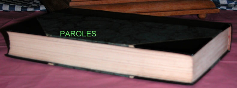 Mémoires inédits de Pétion et mémoires de Buzot et de Barbaroux accompagnés de notes inédites de Buzot et de nombreux documents inédits sur Barbaroux, Buzot, Brissot, etc.
