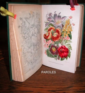 Beeton's New Dictionary of Every-Day Gardening: Constituting a Popular Cyclopaedia of the Theory and Practice of Horticulture, Floriculture and Pomology in all their Various Branches, to which is added a Monthly Calendar of Garden Work throughout the Year. [english book].