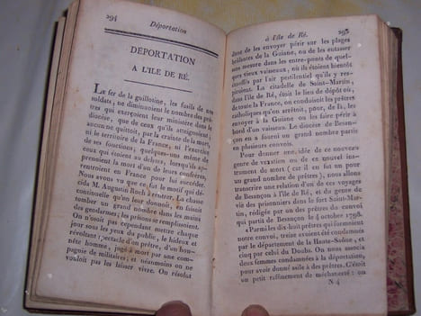 Notices historiques sur les prêtres du diocèse de Besançon condamnés à la mort ou à la déportation pendant la persécution de la fin du dix-huitième ...