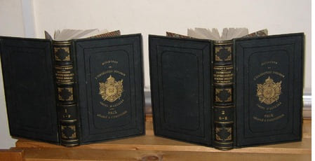 Dictionnaire général des lettres, des beaux-arts et des sciences morales et politiques.