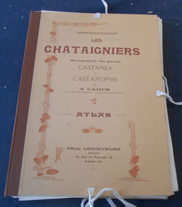 Les Châtaigniers - Monographie des genres Castanea et Castanopsis - Atlas