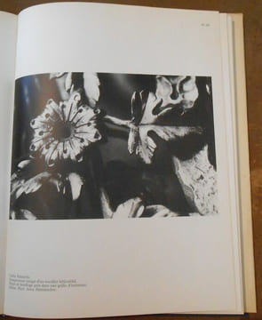 La Ferronnerie Italienne. Paul Lorenz
