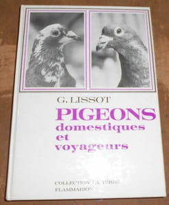 Pigeons domestiques et voyageurs
