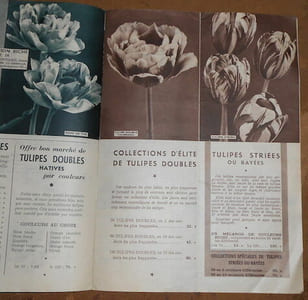 Catalogue A. J. Van Engelen