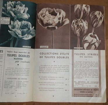 Catalogue A. J. Van Engelen. undefined