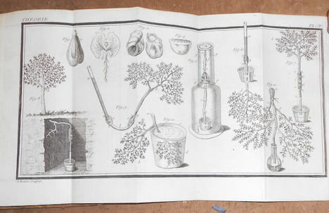 La Théorie du Jardinage. Abbé Roger Schabol