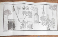 La Théorie du Jardinage